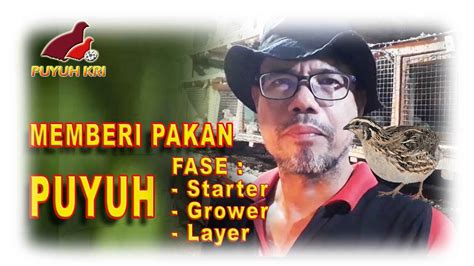PUYUH KRI - raincitystudios.com
