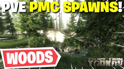 PVE AI PMC Difficulty - Escape from Tarkov Forum - muktibox.com