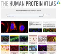 PYY protein expression summary - The Human Protein Atlas