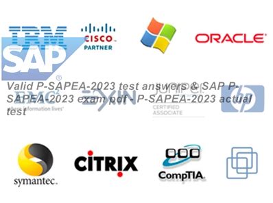 P_SAPEA_2023 Examengine.pdf