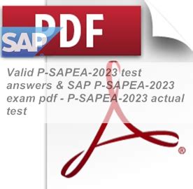 P_SAPEA_2023 Testfagen