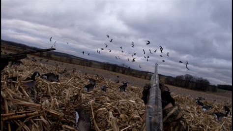 Pa goose hunting season. The Service divides the United States into four administrative units called flyways (they correspond to four major migration corridors for waterfowl) and gives states within the flyways guidelines for setting hunting seasons and bag limits. Pennsylvania is part of the Atlantic Flyway. Duck hunting is a challenging, rewarding sport. 