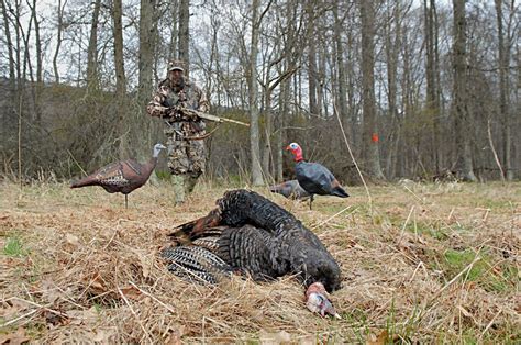 Feb 6, 2023 · This 2023 NWTF Spring Hunt Guide provides a gl