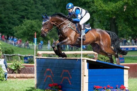 Paardensport eventing - TeamNL