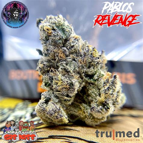 Get details and read the latest customer reviews about Pablo Escobar by Magic Time Farms on Leafly. Learn. Shop. Get cannabis. ... Shop Dispensaries Deals Strains Brands Products CBD Doctors .... 