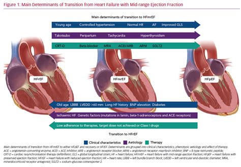 Pacemaker Club: Ejection/Fraction Improvement?