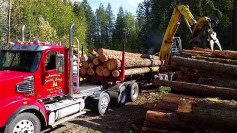 Pacific Logging Marysville WA Read Reviews + Get a Bid