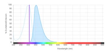 Pacific blue fluorophore. Pacific Blue ™,5 RPA-T4 450/50 ... a given fluorochrome, and whether you have enough detectors to read out a given combination of fluorochromes. 2 Fluorochromes: Go for the … 