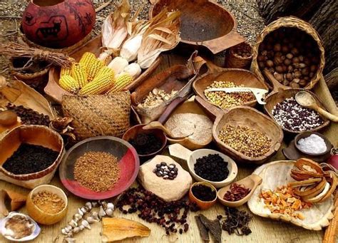 Apr 14, 2018 · These desert foods offered many health benefits that helped to prevent many of the diseases that now run rampant in the native community. These foods included: acorns from the Emory Oak, grains such as amaranth, tepary beans, kidney beans, pinto beans, lima beans, lentil beans, cacti pads, tuna, chiles, chia, plantago, and - Cappadona Ranch’s ... 