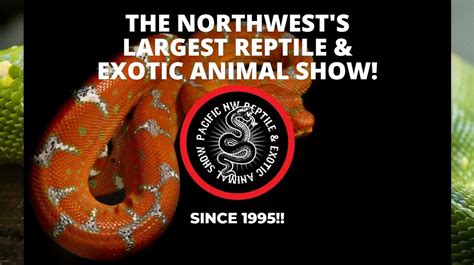 About Pacific Northwest Reptile and Exotic Animal Show. There's a whole culture of beauty, wonder, and imagination waiting for you at Pacific Northwest Reptile and Exotic Animal Show in Vancouver. Easy parking is accessible for Pacific Northwest Reptile and Exotic Animal Show's customers. Everyone needs a taste of culture at least once in awhile..
