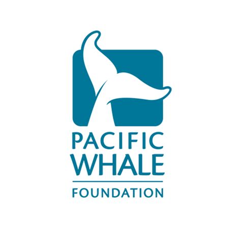 Pacific whale foundation. Things To Know About Pacific whale foundation. 