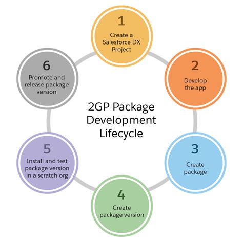 Package development process Complete Self Assessment Guide