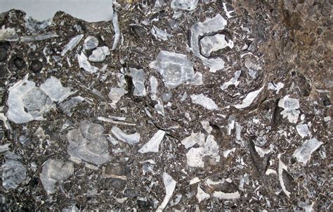 Limestones show packstone texture containing benthic foram
