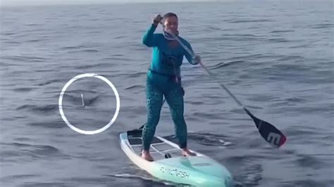 Paddleboarder who encountered hammerhead shark en route to Lake Worth Beach speaks out