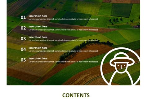 Paddy And Field Google Slides Template Free Download