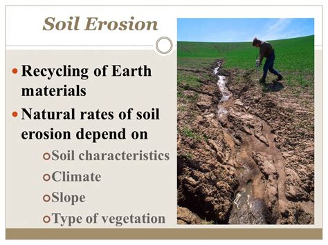 Paddy Soil - an overview ScienceDirect Topics