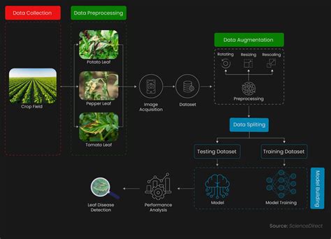 Paddy crop disease detection using machine learning.  Jun 6, 2025 · In our study, w...