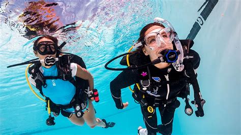 Padi diving. A household name in Dubai and the UAE, Al Boom Diving has grown to become the leading PADI certification and watersports specialist in Dubai, the Emirates, and beyond. We offer PADI Scuba Diving Courses for beginners to the professional level. With a price for all budgets start your PADI scuba diving adventure from our dive center in Jumeirah ... 