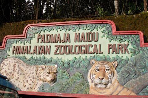 Padmaja Naidu Himalayan Zoological Park …