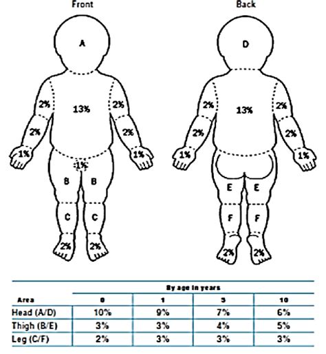 Paediatric Lund and Browder Chart. Download Scientific Diagram