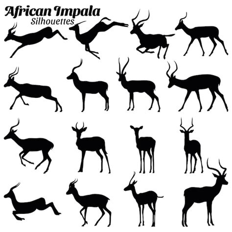 Page 5 African impala Vectors & Illustrations for Free Download