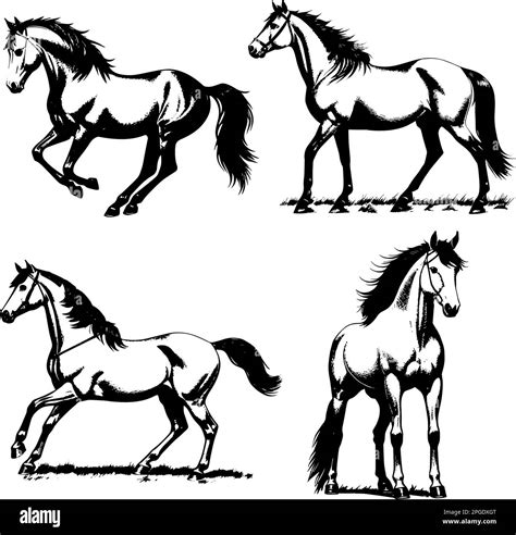 Page 8 Horse Vectors & Illustrations for Free Download Freepik