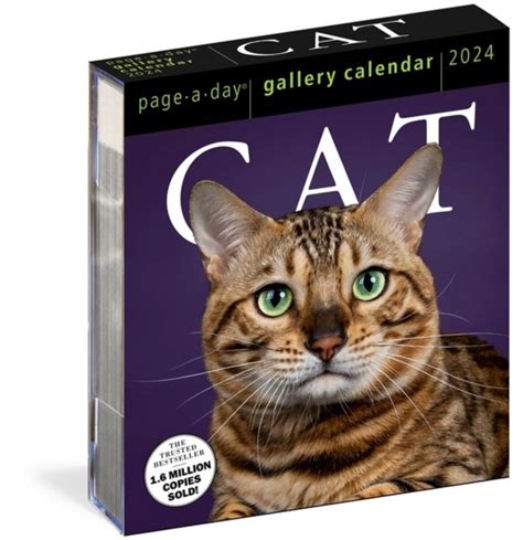 Page A Day Cat Calendar 2024