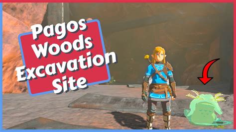Finra Woods Excavation Site: Pagos Woods Excavation Site: 