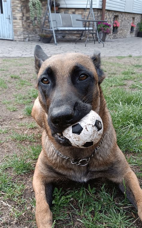 Paigeceline Leaks 💋 [SEX VIDEO]