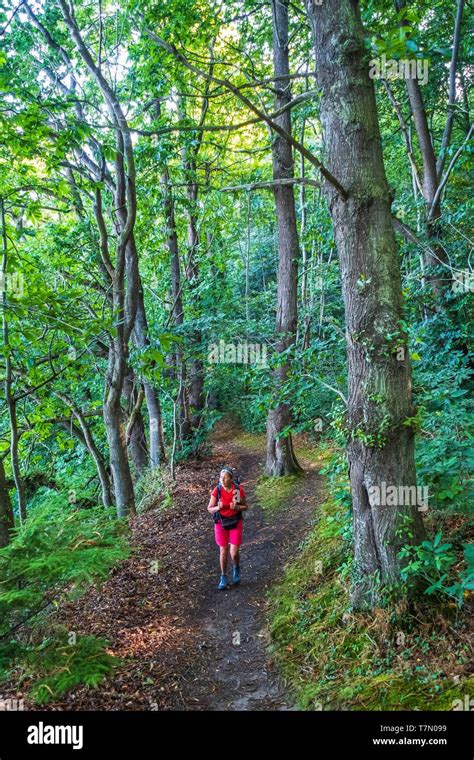 Paimpol Wald Stockfotos und -bilder Kaufen - Alamy