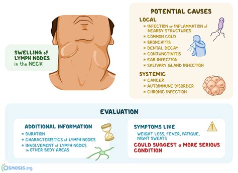 Painful lymph nodes.  Lymphadenopathy of an inflammatory type (the most c...