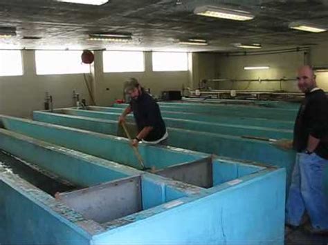 Paint Bank, VA Fish Hatchery - Inside - YouTube