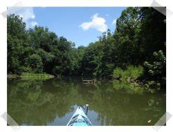 Paint Creek Lake in Ohio Paddling.com