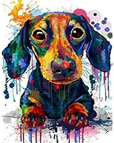 Paint by Number Kit Dachshund - Etsy New Zealand