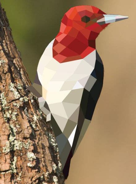 Read Online Paint By Sticker Birds Create 12 Stunning Images One Sticker At A Time By Workman Publishing