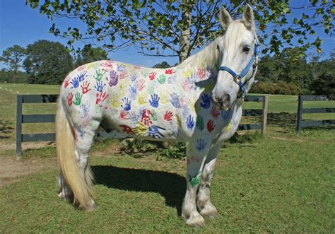 Painted pony. Things To Know About Painted pony. 