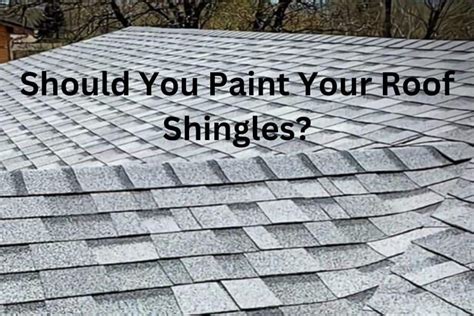 Painting roof shingles. Giving your roof shingles a total makeover by painting is an excellent idea, and you will learn why: Extending the lifespan of your roof. Paint has a way of increasing the lifespan of your roof shingles. The best kind of paint to use is an excellent one-hundred percent acrylic late, which has a flat finish. 