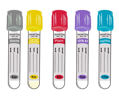 Painting the Perfect Picture Mastering the Order of Draw in Phlebotomy