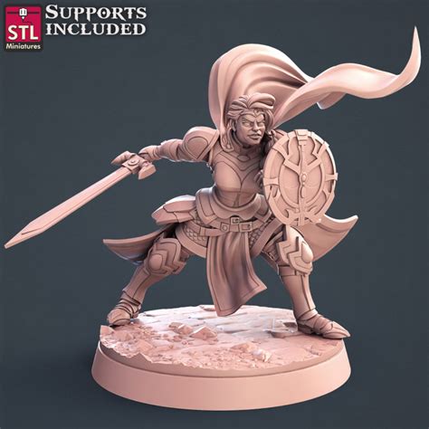 Paladin figur stl - Etsy.de