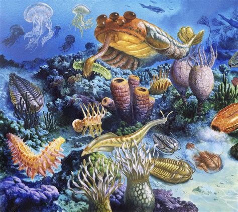 3 The Silurian Period and the invasion of the land. 4 Life in the Silurian sea. 4.1 Trilobites. 4.1.1 More on trilobites. 4.2 ... when a wide variety of amphibian groups evolved and died …. 
