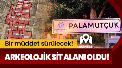 Palamutcuk Halı ve Koltuk Yıkama
