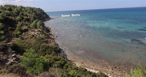 Palamutluk Halı ve Koltuk Yıkama