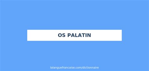 Palatin — Wiktionnaire