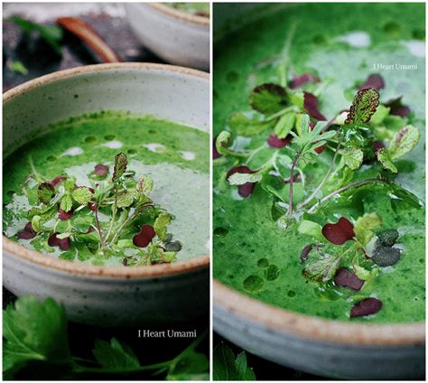 Paleo Detox Green Soup - I Heart Umami®