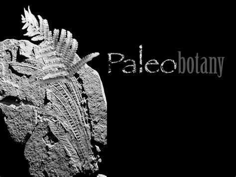 Paleo botany. Things To Know About Paleo botany. 