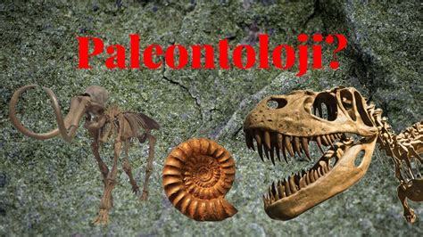 Paleontoloji nedir