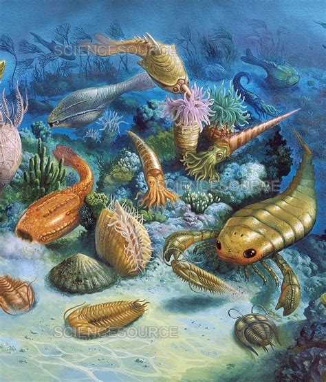 Paleozoic History - EOLSS