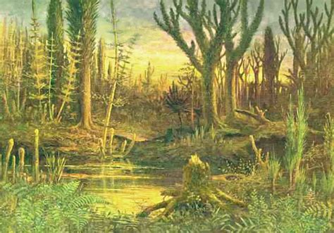 By the Pennsylvanian Period, the evolution of terrestrial plants and animals had advanced to the point where true forests were developed in lowland, coastal sites. ... Part of a series of articles titled Geologic Time Periods in the Paleozoic Era. Previous: Permian Period—298.9 to 251.9 MYA. Next: Mississippian Period—358.9 to 323.2 MYA .... 