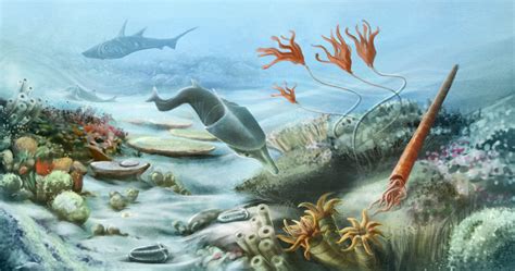 Paleozoic extinction. In general, Paleozoic and post-Paleozoic gastropods differ markedly, and this is in large part due to the extinction. For example, Paleozoic gastropods mostly had two gills, were slow-moving suspension-feeders or herbivores, and frequently had little external shell ornamentation. 