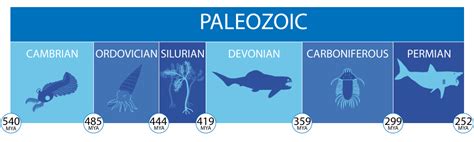 During the Paleozoic Era, which lasted 289 million years, plants and reptiles began moving from the sea to the land. The era has been divided into six periods: Permian, Carboniferous, Devonian, Silurian, Ordovician, and Cambrian. Several times during this era, seas appeared and disappeared in Kansas. Rocks from the last two periods in the era .... 
